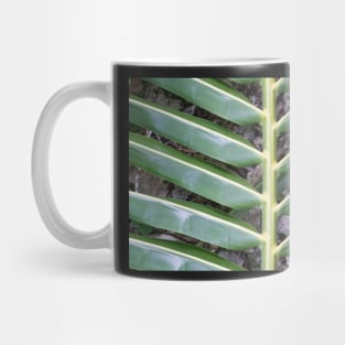 Tropical frond. Mug